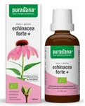 Echinacea forte (Echinacea purpurea) gouttes complément alimentaire bio 50 ml