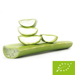 Aloe vera bio frais (environ 0,50 kg)