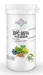 Extrait de pépins de raisin 95 % opc 60 capsules (450 mg )