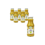 PACK DE 6 x Jus de gingembre Nfc Bio 250 ml