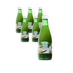 PACK DE 6 x Jus de céleri acide, sans sucre BIO 300 ml