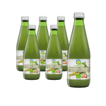 PACK DE 6 x Jus de persil mariné Bio 300 ml