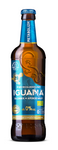 Bière sans alcool Métabolisme Bio 475 ml - Iguana – Brasserie Piotrków