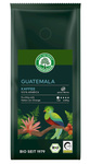 Arabica 100% Guatemala café en grains bio 250 g - LEBENSBAUM