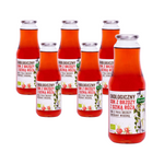PACK DE 6 x Jus de baies de bouleau avec églantier BIO 1 l