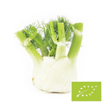 Fenouil frais (fenouil) bio (environ 0,35 kg)