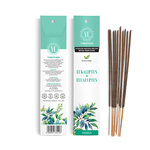 Bâtonnets d'encens indien Eucalyptus (10 pièces) 16 g – Your Candle
