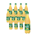 PACK DE 12 x Kombucha thé vert avec aloe vera BIO 500 ml