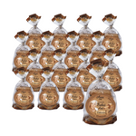 PACK DE 16 x Biscuits à l'avoine de Granny Anne B/C 100 g