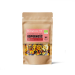 Garniture fruitée pour mueslis et desserts, soutien immunitaire Bio 20 g – Dary Natury