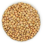 Lentilles brunes bio (matière première) (25 kg) 6