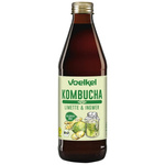 Kombucha tilleul-gingembre BIO 330 ml