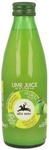 Jus de citron vert nfc 100 % BIO 250 ml